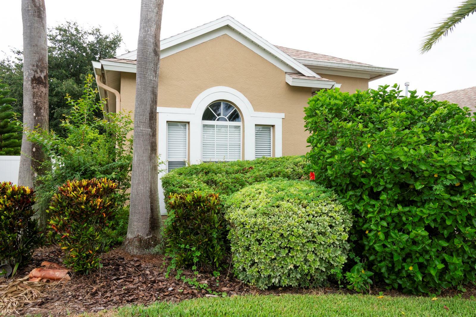 Property Photo:  8729 Torchwood Drive  FL 34655 