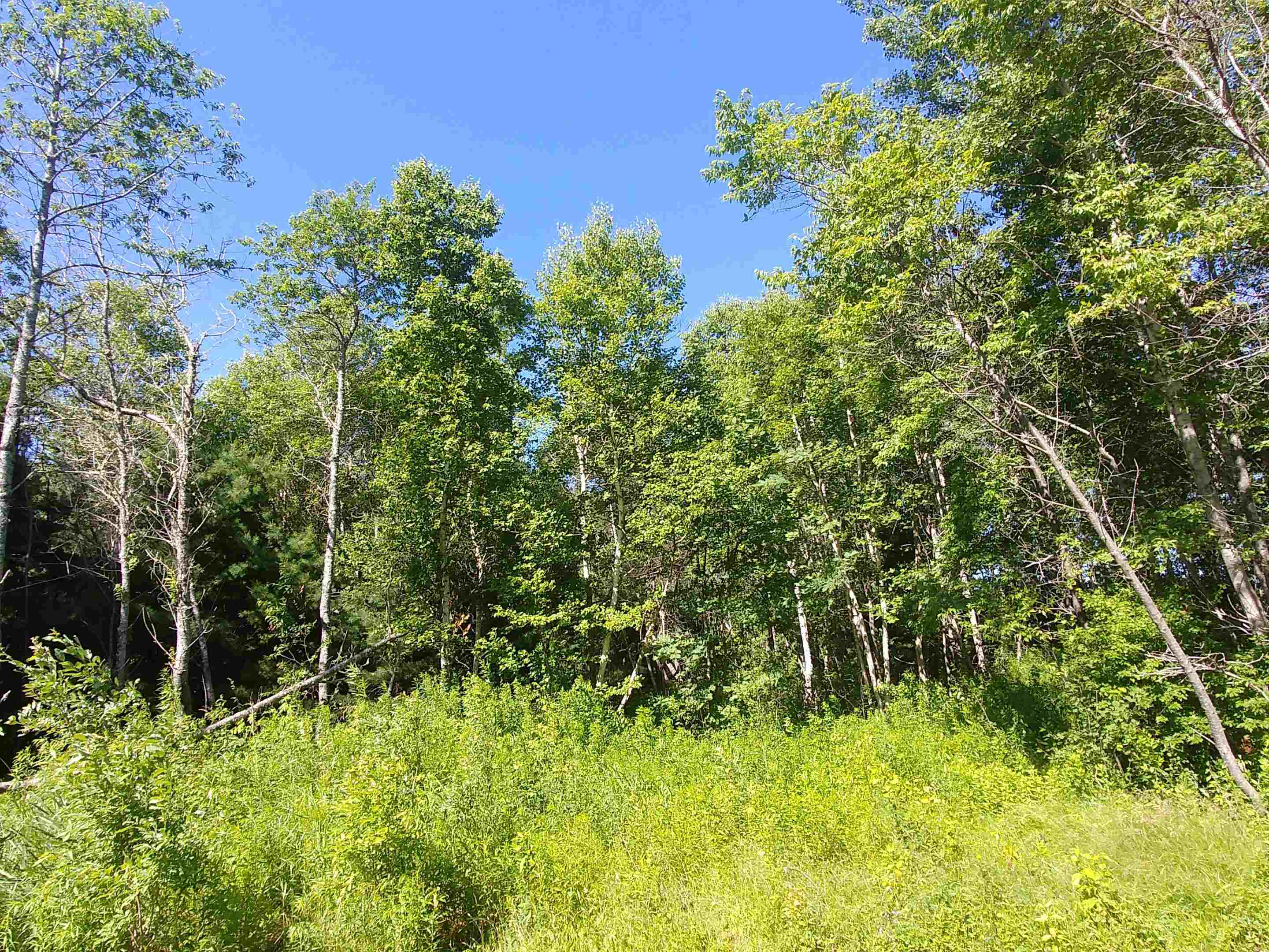 Photo de la propriété:  Lot 14 Birch Lane Lane  PE C0A 1L0 