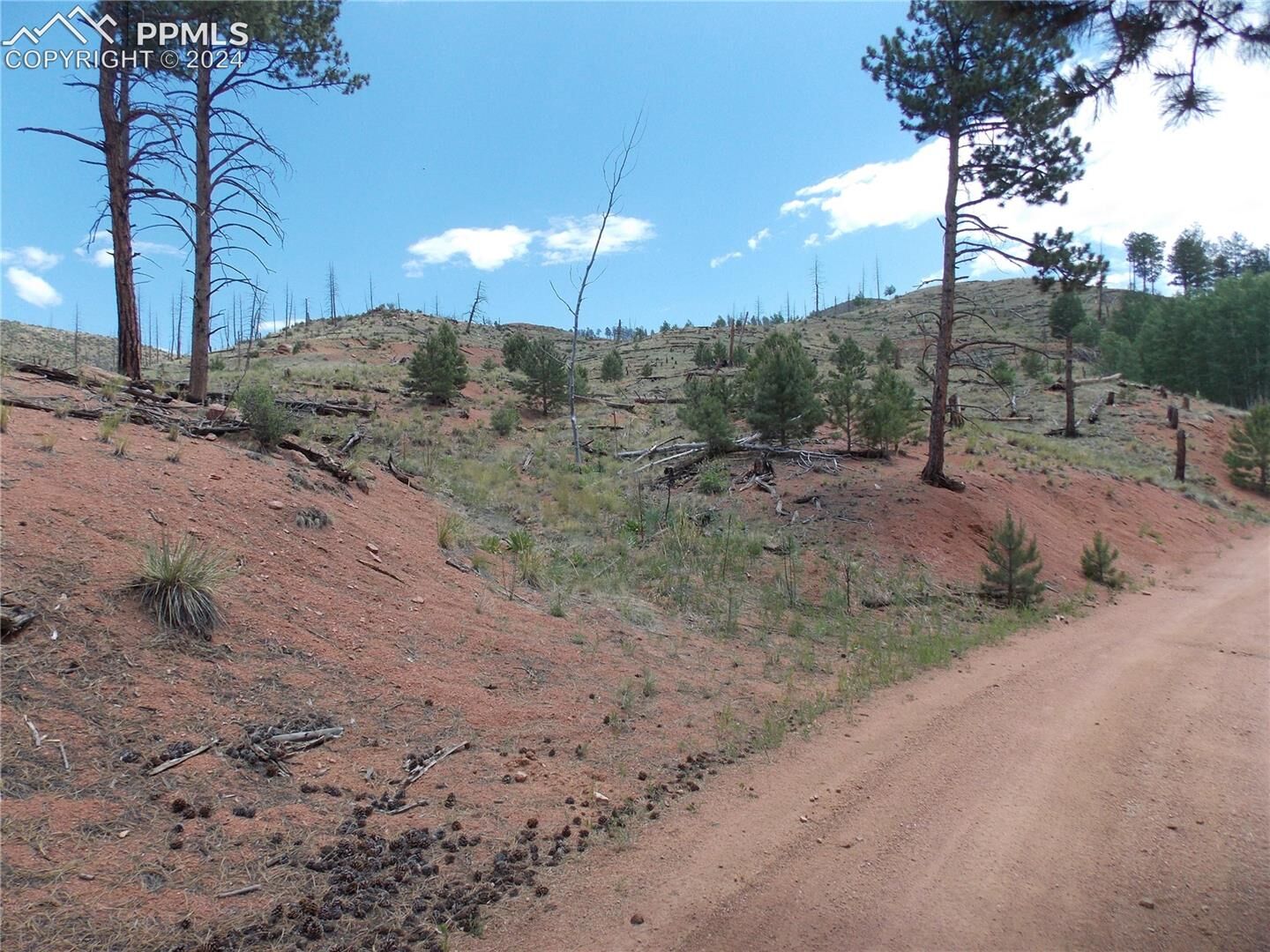 Property Photo:  14691 Crooked Trail Road  CO 80863 
