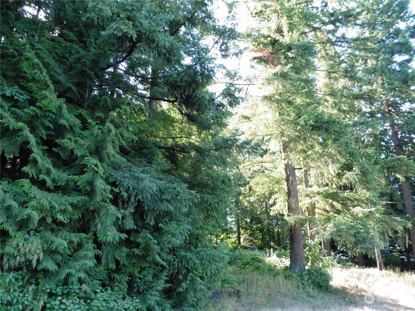 Property Photo:  27226 207th Avenue SE  WA 98038 