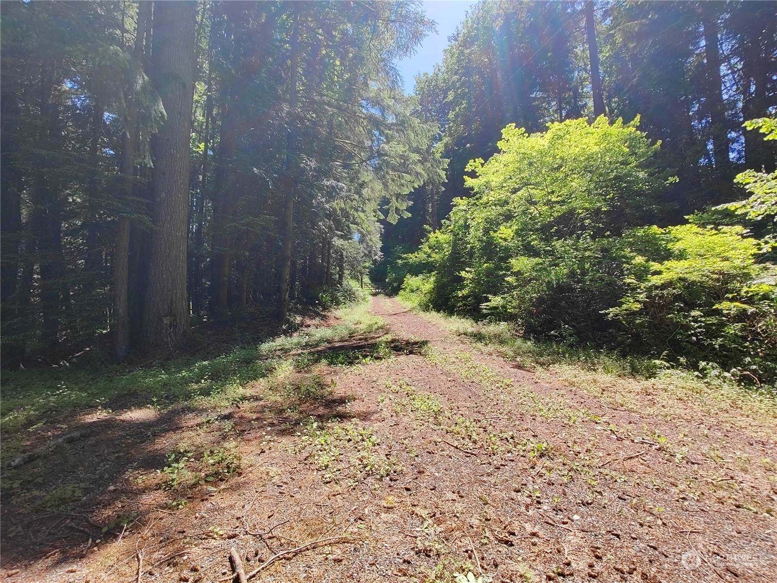 Property Photo: 0 Xxxx Cedar Falls Avenue SE WA 98045