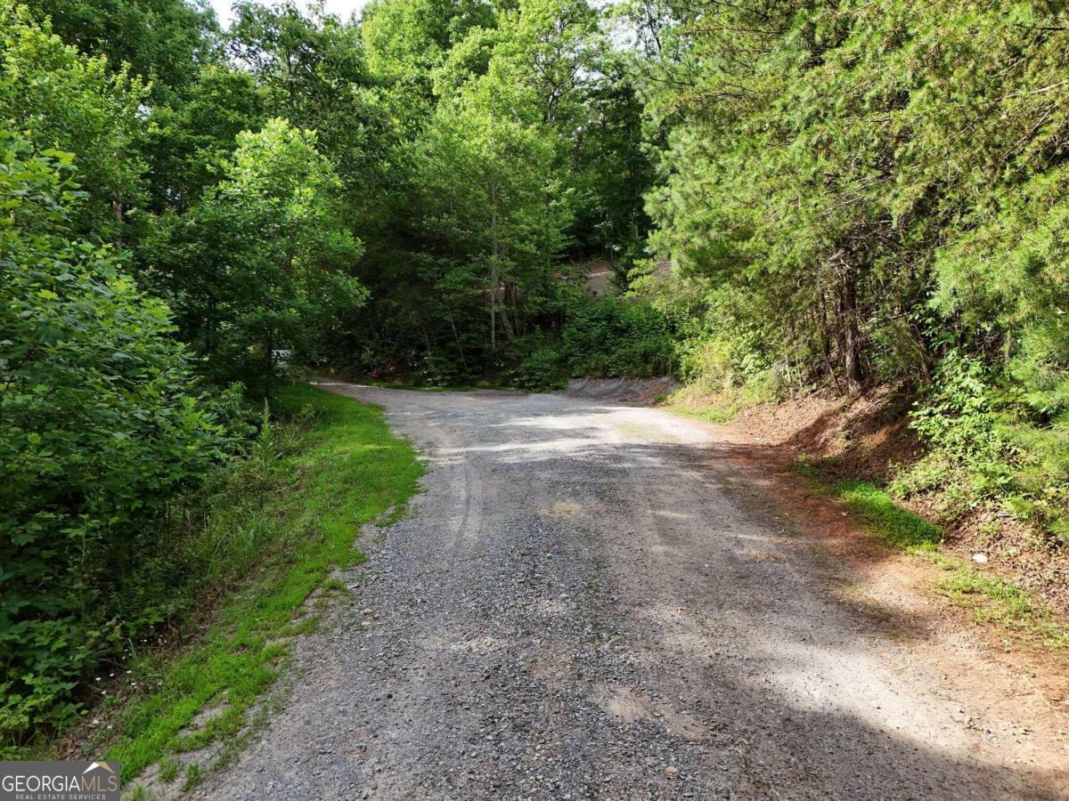 Property Photo:  Lot 25 Toccoa Preserve Court  GA 30513 