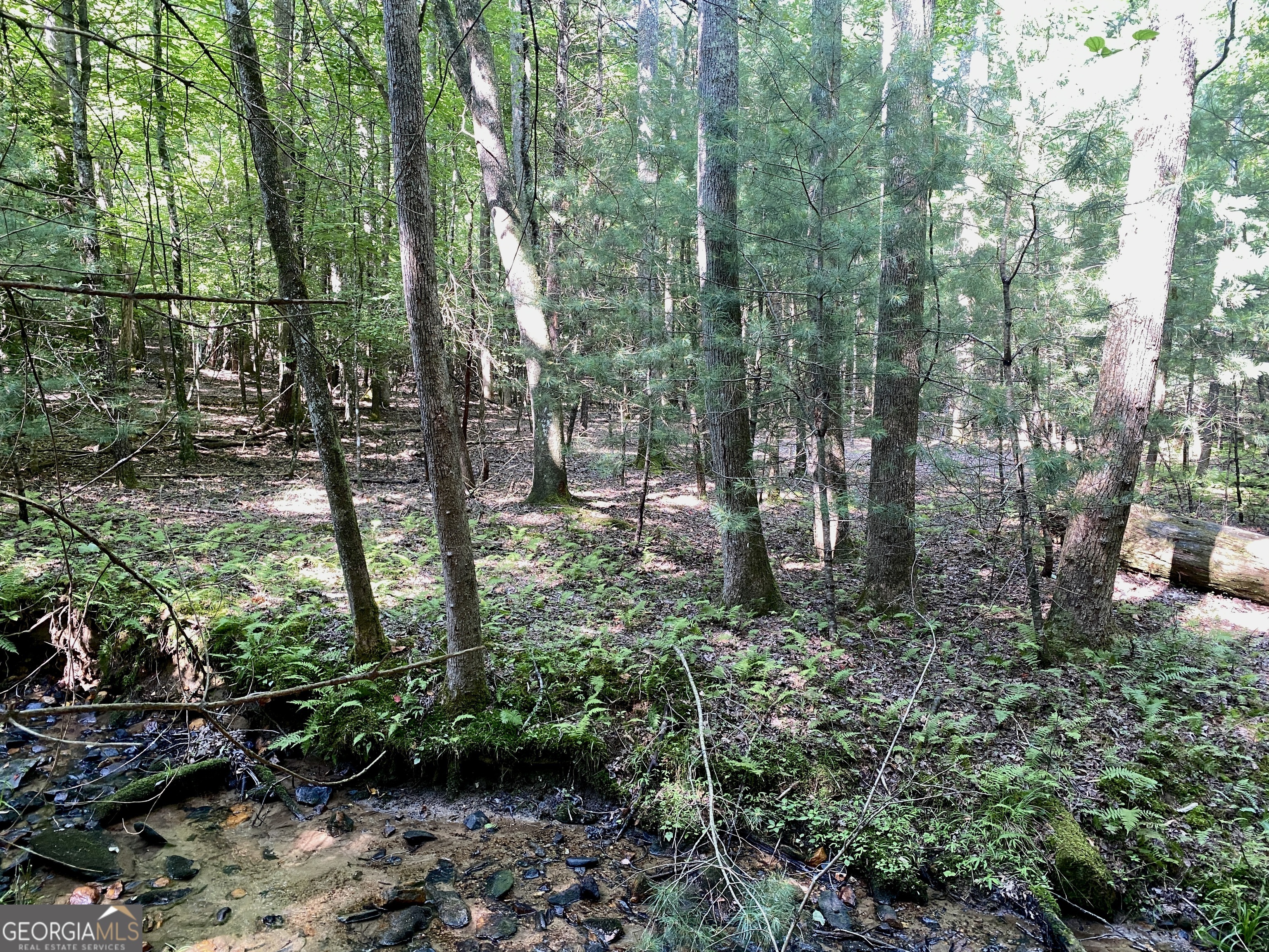 Property Photo:  Ll322 Warnock Mountain Acres Lane  GA 30512 