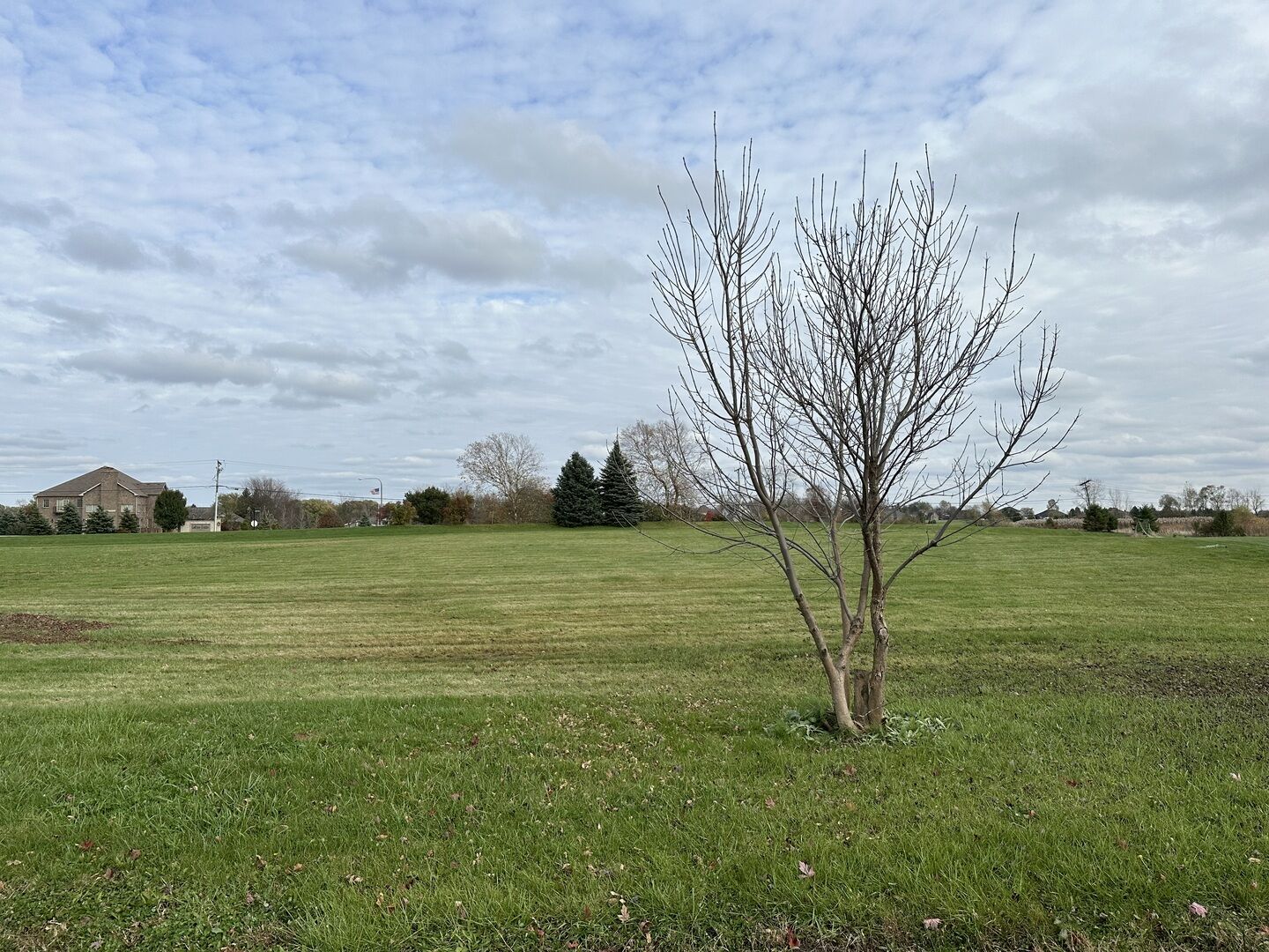 Property Photo: 26019 S Green Castle Drive IL 60449