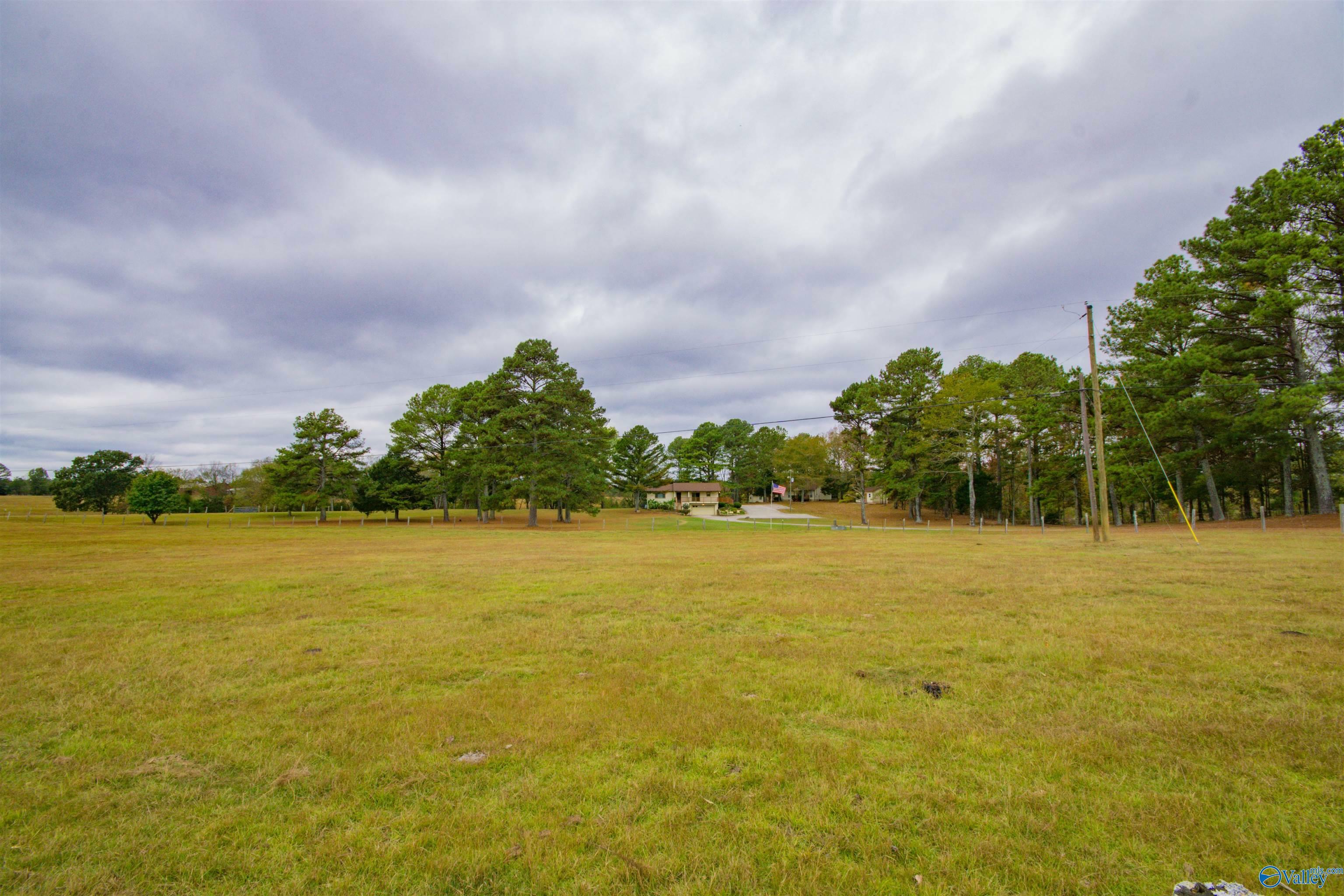 Property Photo:  614 Johnson Landing Road  AL 35775 