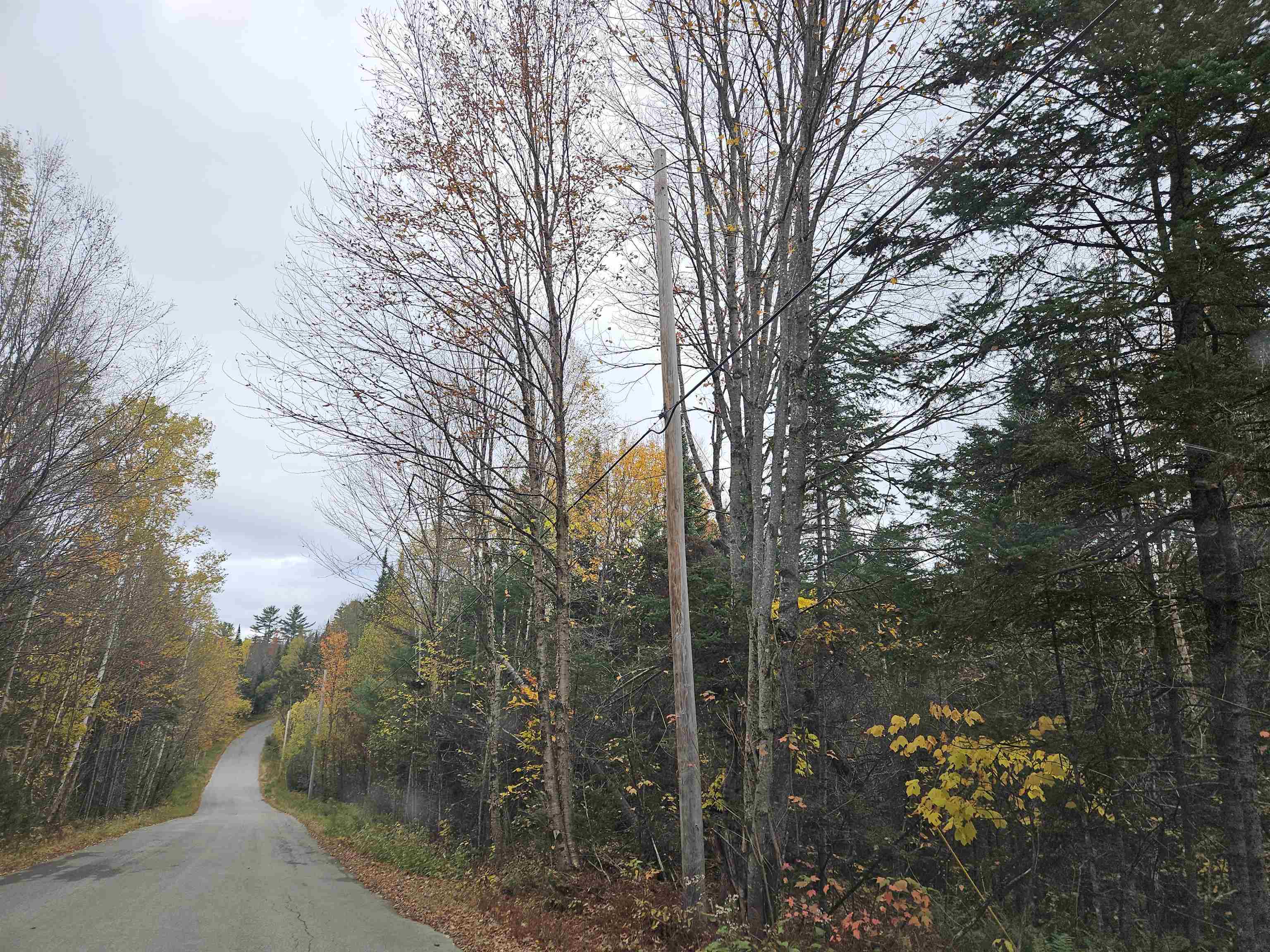 Property Photo:  Lot 15 Hadley Road  NH 03586 