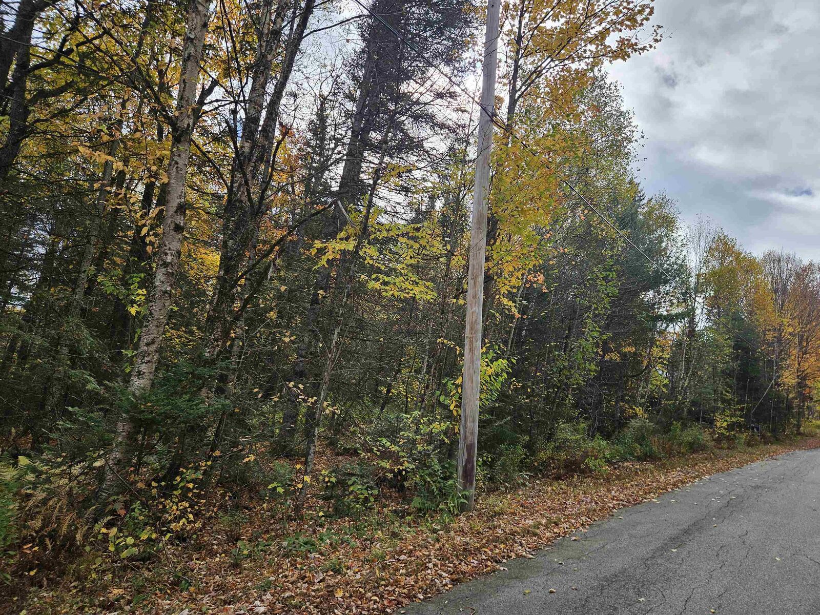 Property Photo: Lot 15 Hadley Road NH 03586