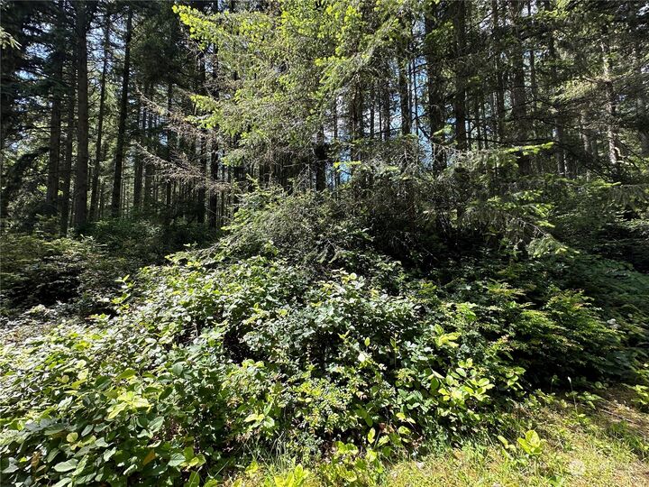 Property Photo:  11402 Aqua Place  WA 98303 