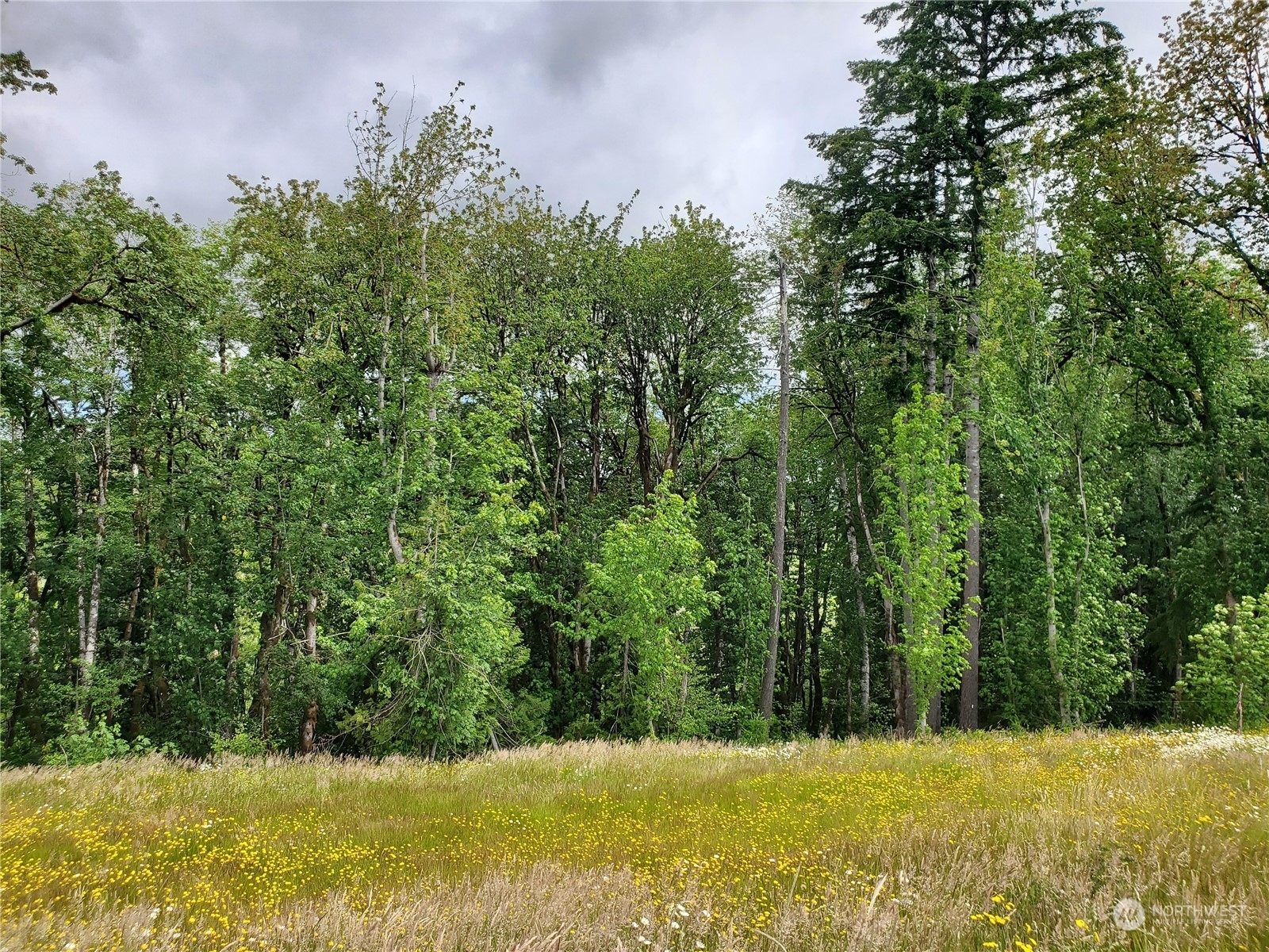 Property Photo:  911 SE Mill Creek Road  WA 98584 