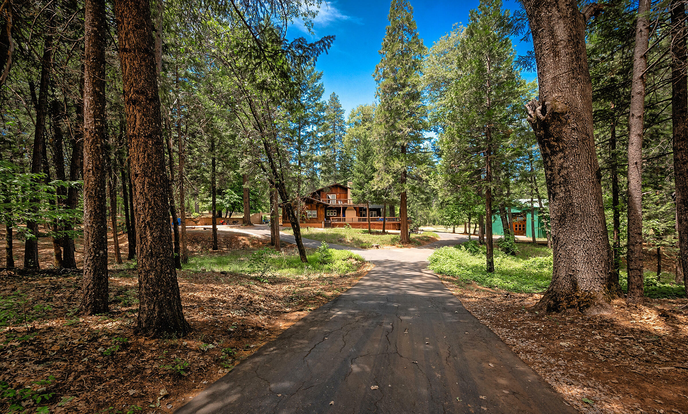 Property Photo:  29230 Fenders Ferry Road  CA 96084 