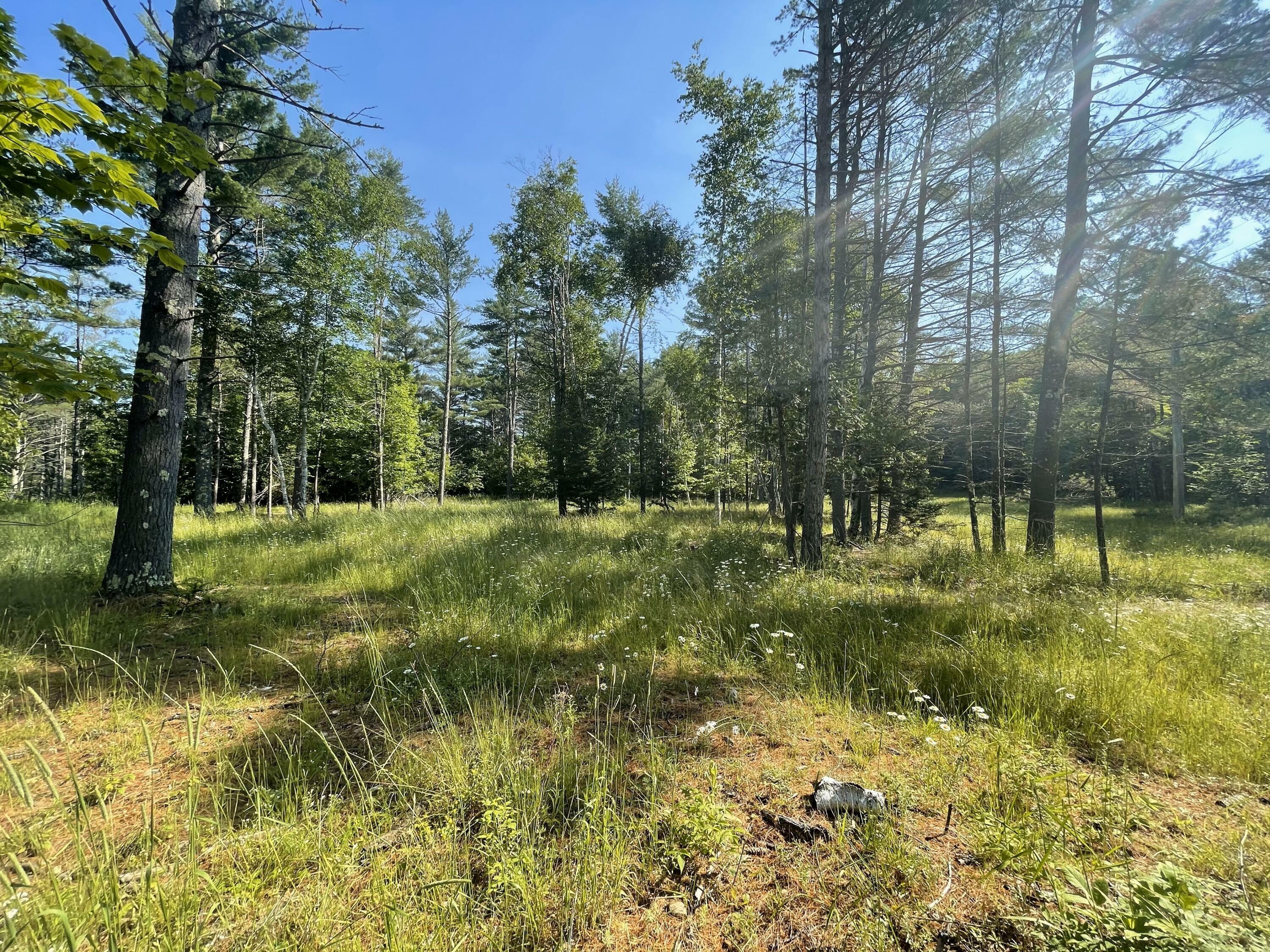 Property Photo:  11858 State Route 9  NY 12987 