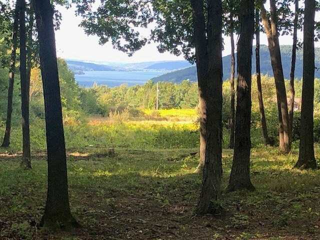 Property Photo:  0 Silsbee Road  NY 14840 