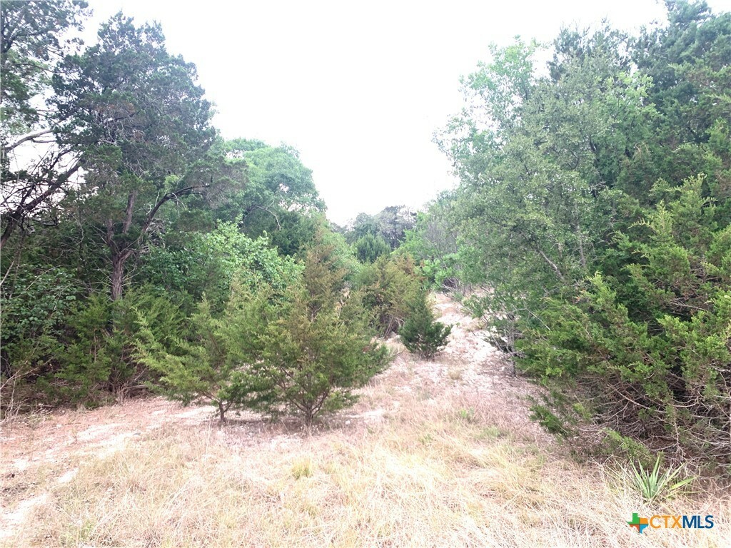 Property Photo:  0 Firefly Road  TX 76527 