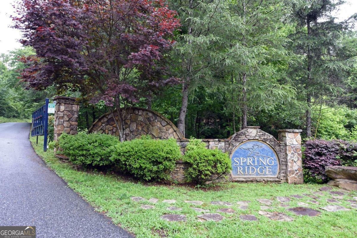 Lot 1 Spring Ridge Drive  Morganton GA 30560 photo