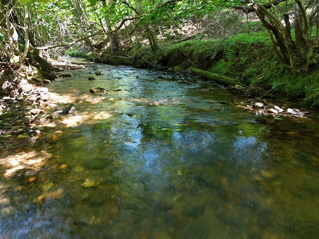 Property Photo:  13.4ac Mount Pleasant Church Road  GA 30512 