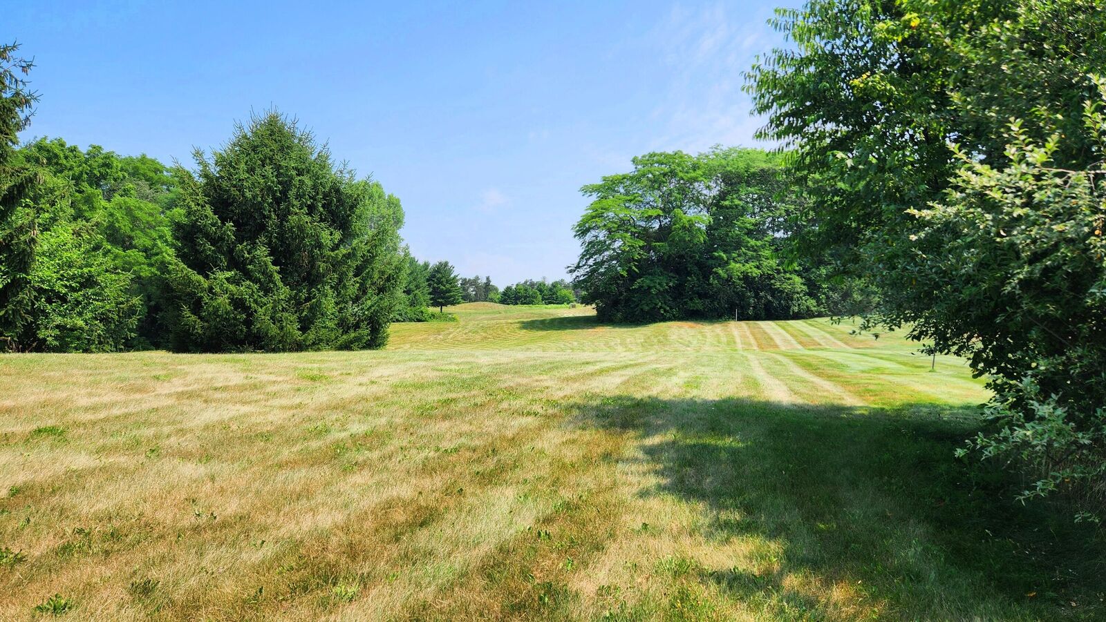 Property Photo: 6714 Hagerty Road OH 43103