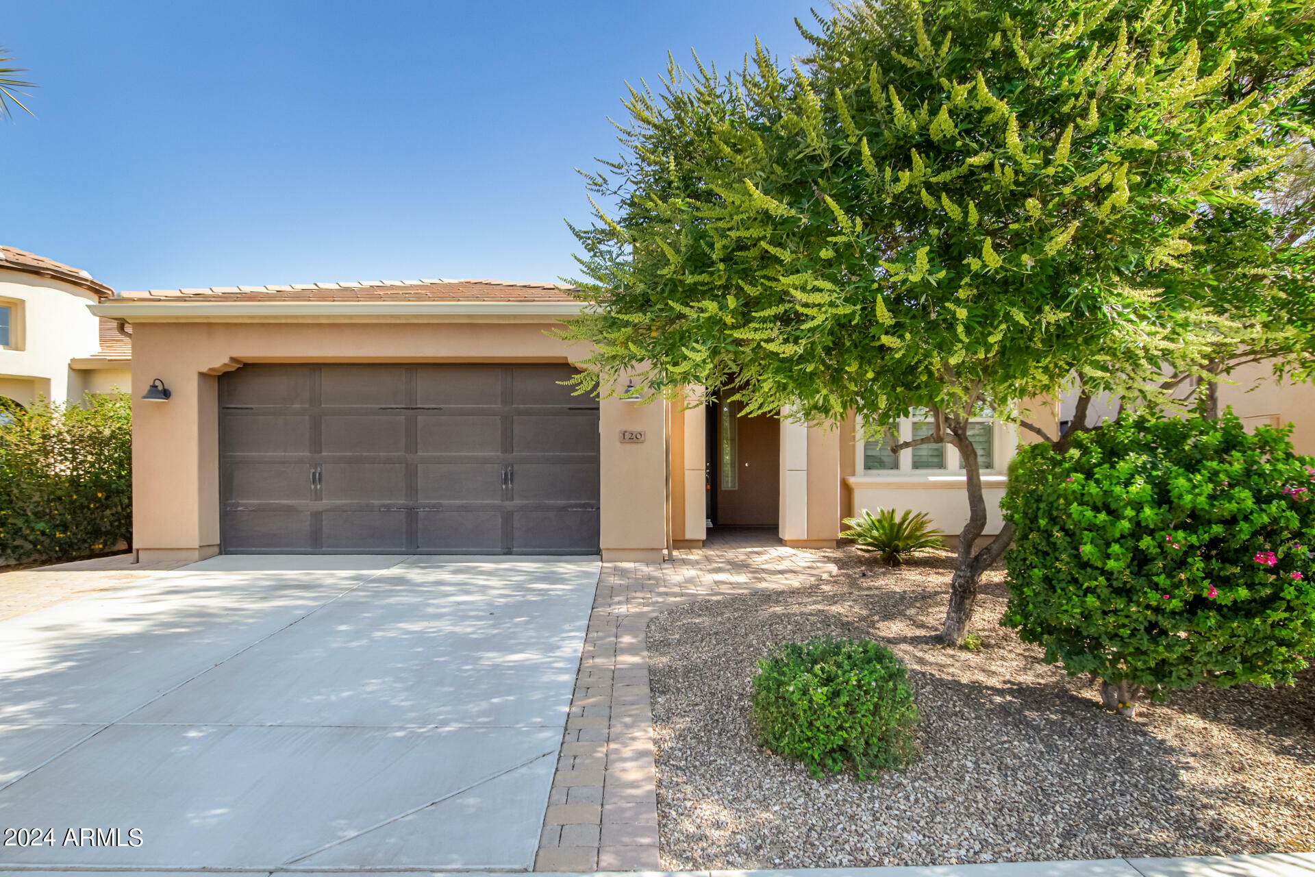 120 E Camellia Way  San Tan Valley AZ 85140 photo
