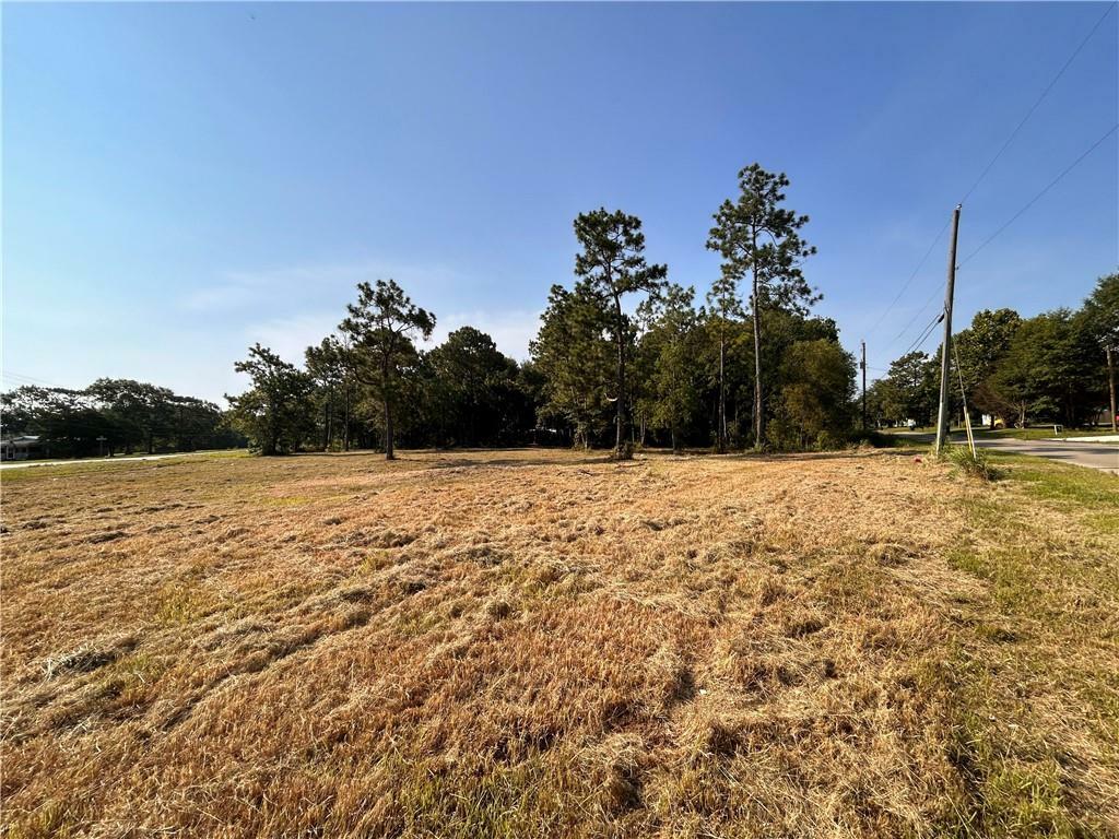 Property Photo:  10435 Surprise Road  AL 36541 