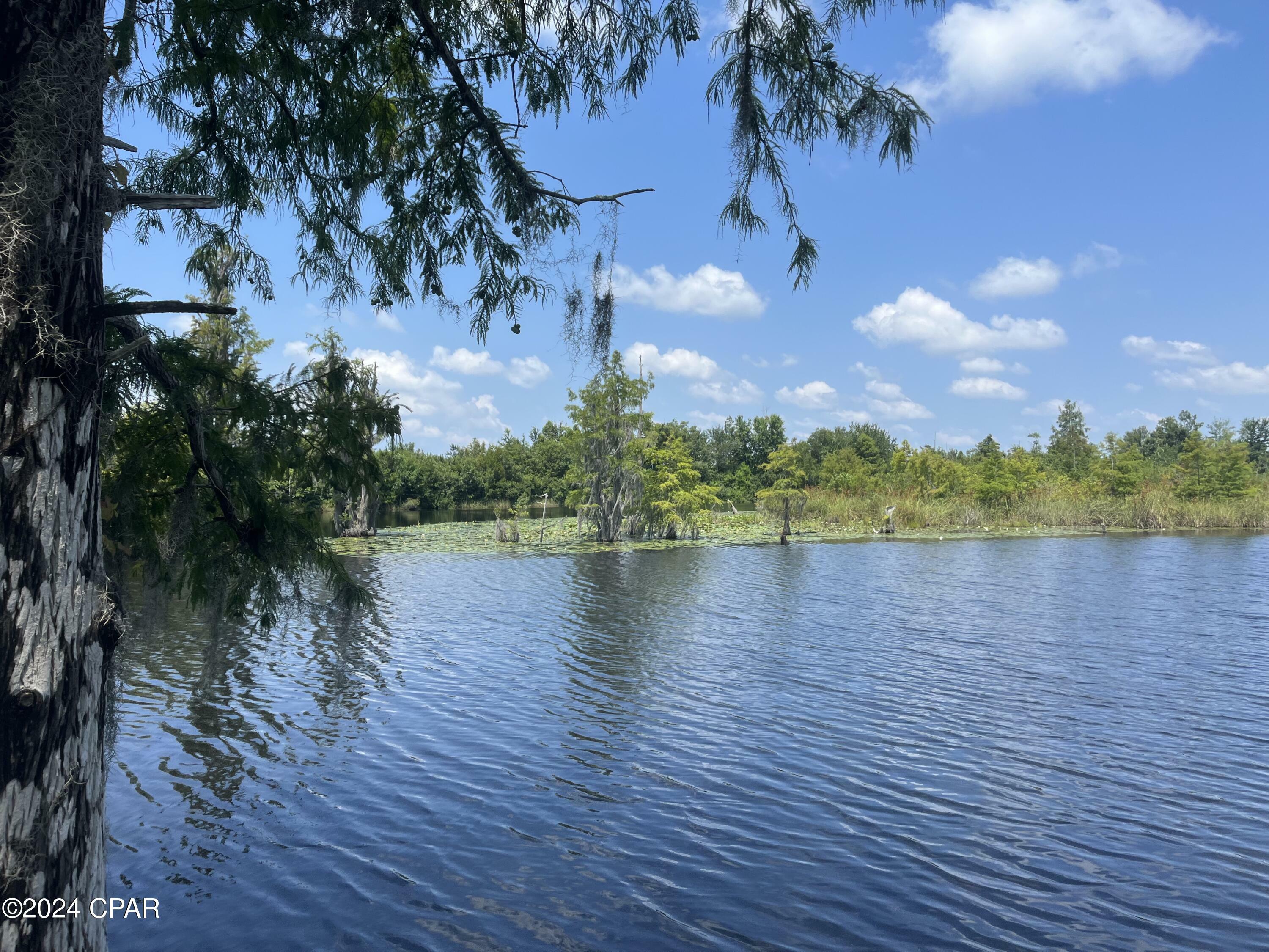 Property Photo:  9636 Indian Bluff Resort Ln  FL 32466 