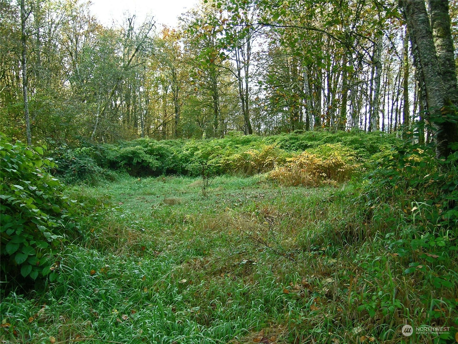 Property Photo:  5973 North Fork Rd  WA 98244 