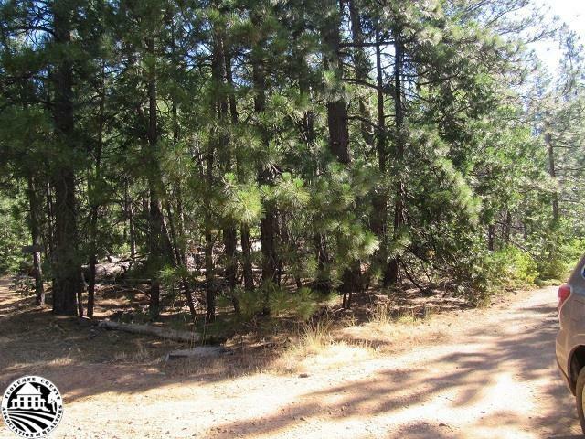 Property Photo:  Lot 21 Nf 4n01aa  CA 95383 