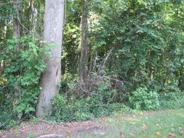 Property Photo:  0 Meadow Drive  NC 27526 