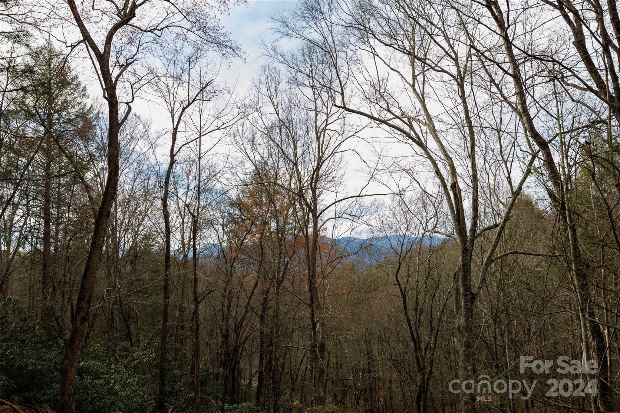 Property Photo:  0 Lytle Mountain Road  NC 28762 