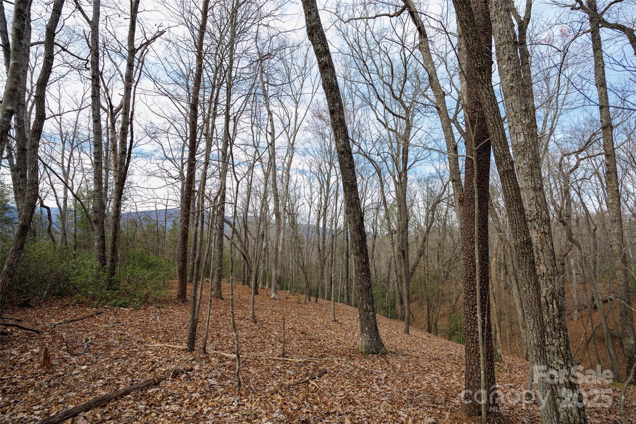 0 Lytle Mountain Road  Old Fort NC 28762 photo