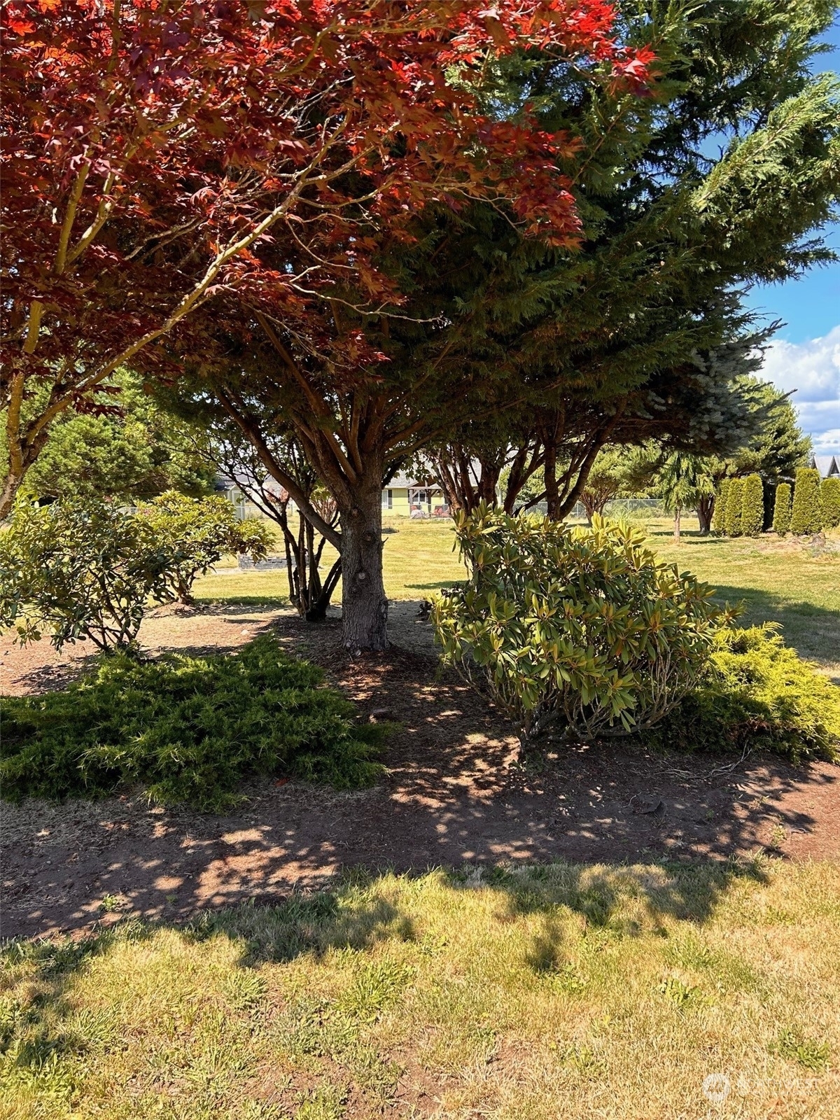 Property Photo:  9520 185th Avenue SW  WA 98579 