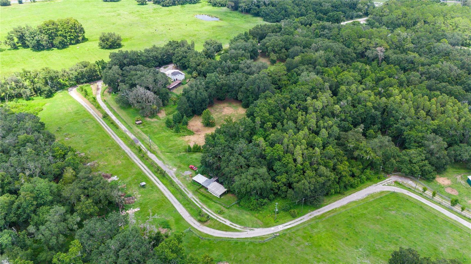 Property Photo:  38862 Pattie Road  FL 33540 