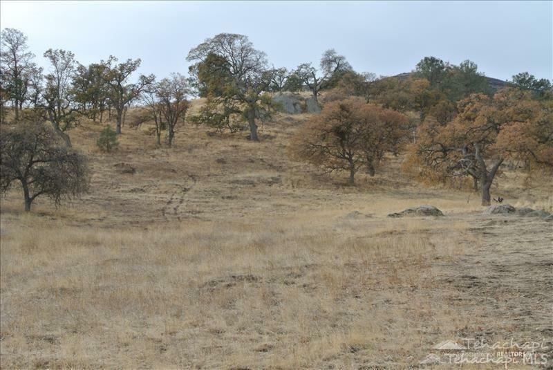 Property Photo:  0 Willow Canyon Rd Lot 42  CA 93561 