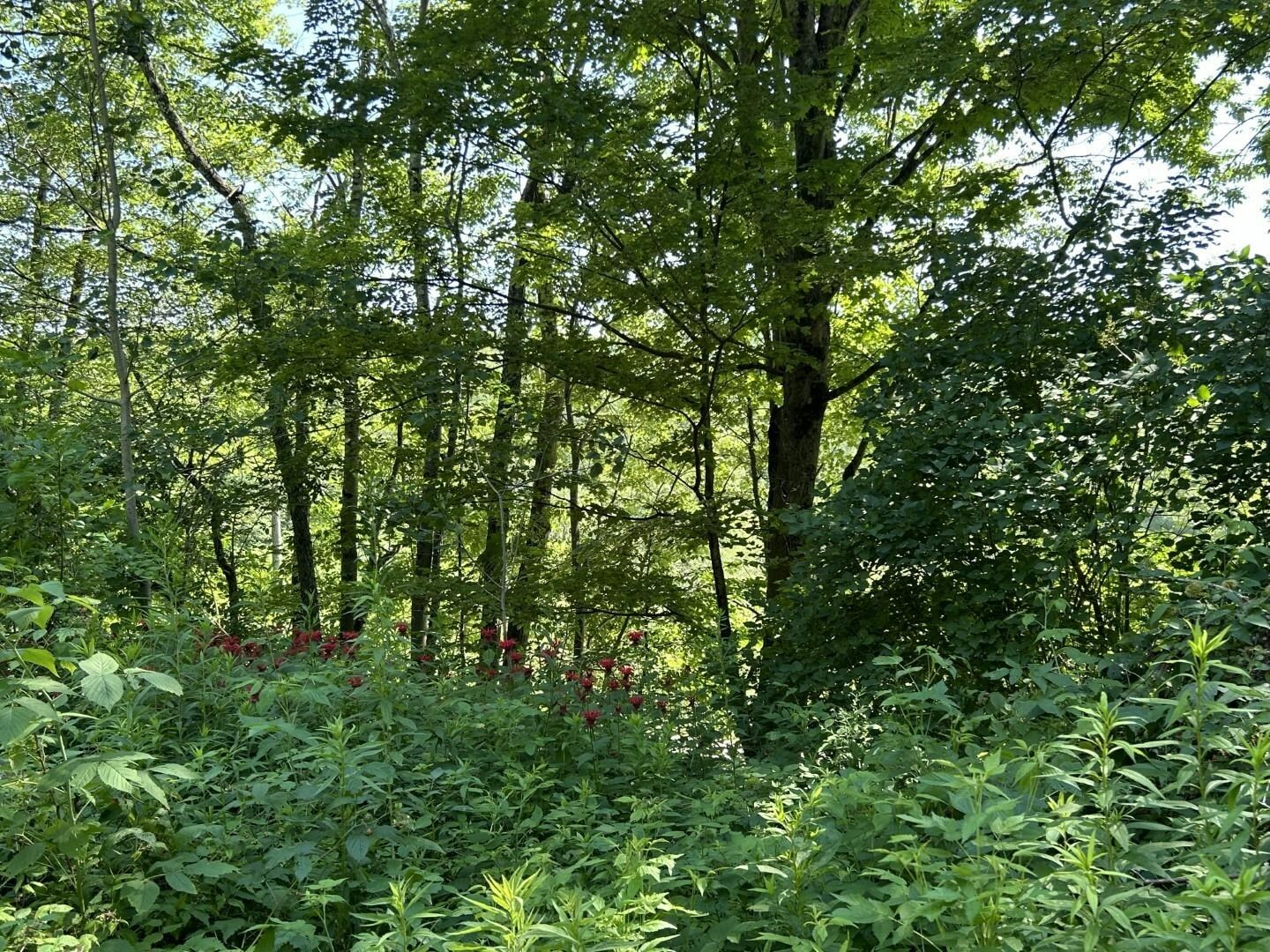 Property Photo: 2871 Texas Hill Road VT 05461