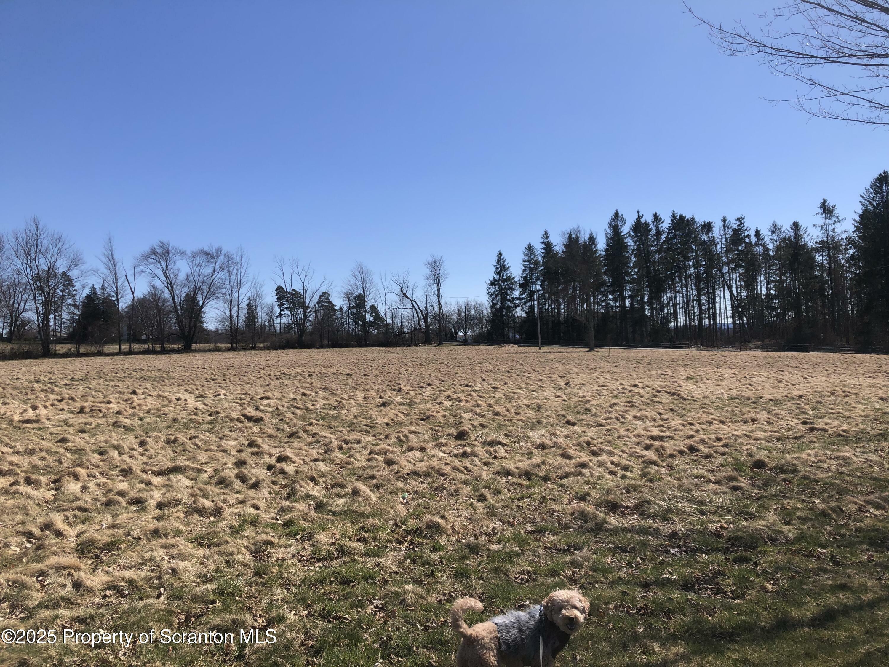 624 Lily Lake Road, Lot 4  Waverly PA 18471 photo