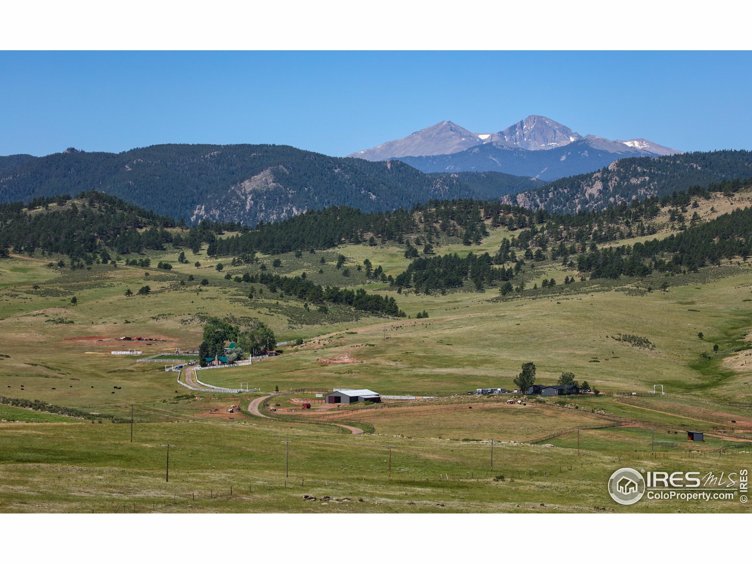 Property Photo:  689 Cattle Drive Rd  CO 80537 