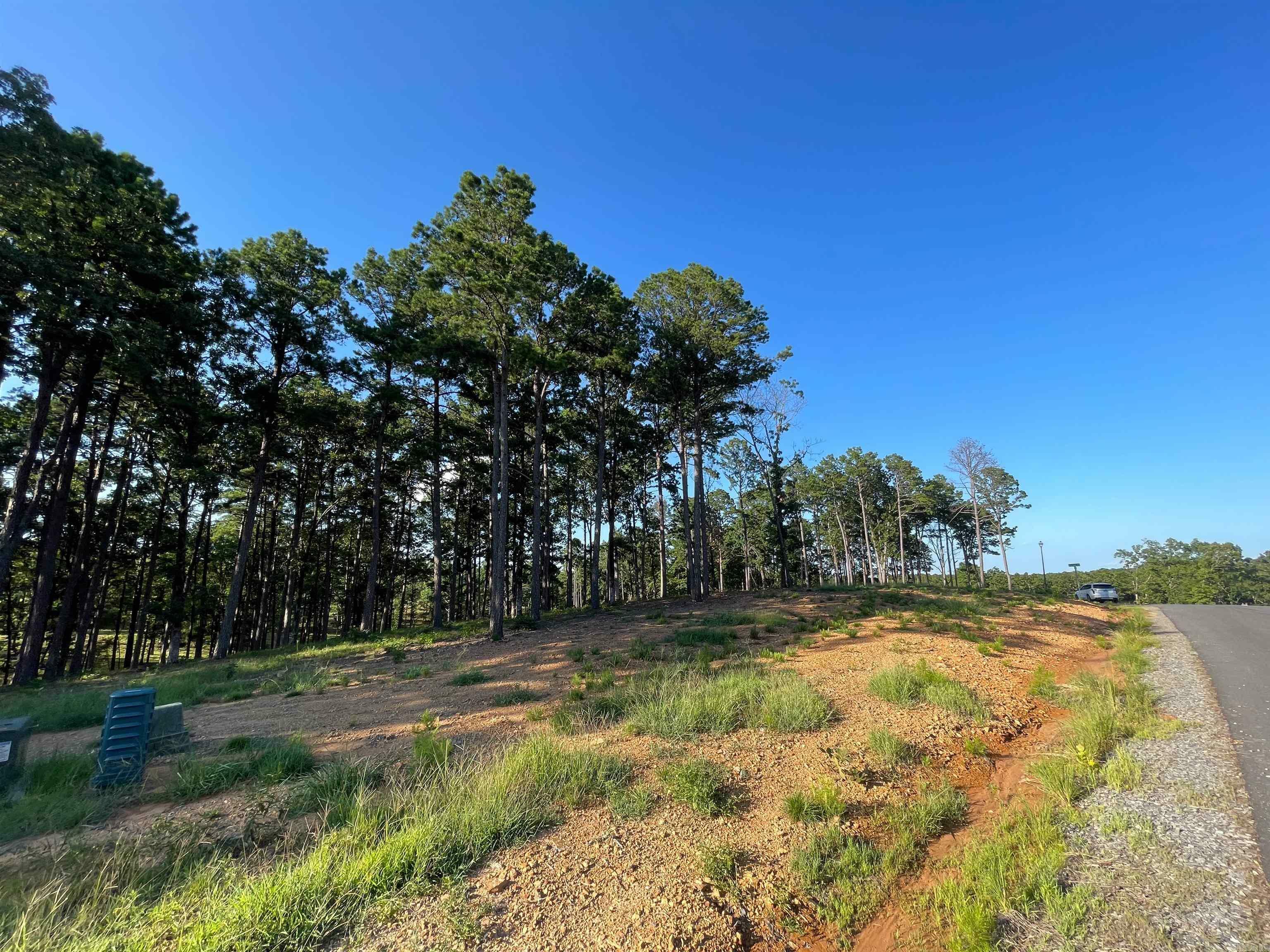 Property Photo:  Lot 6 Orchard Hill  AR 72034 