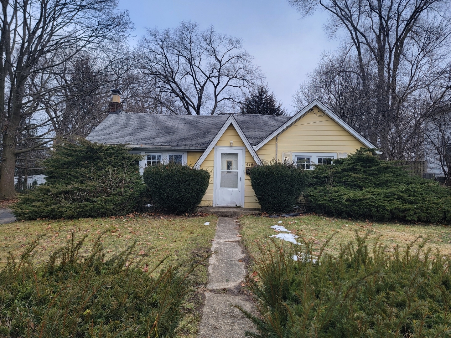 Property Photo: 319 N Prospect Street IL 60187