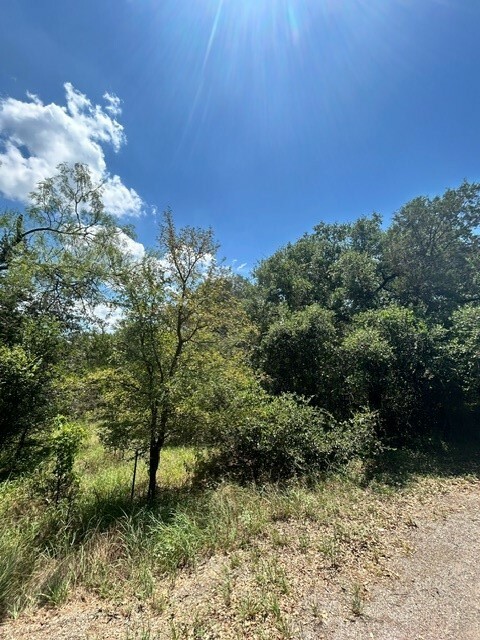Lot 448 Indian Summer  Spicewood TX 78669 photo