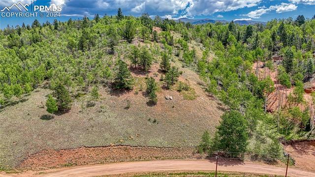 Property Photo: 348 Granite Lane CO 80813