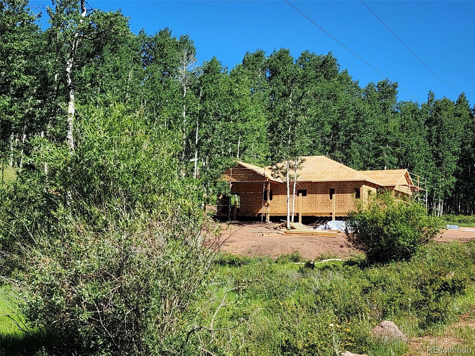 Property Photo:  77 Granite Lane  CO 80813 