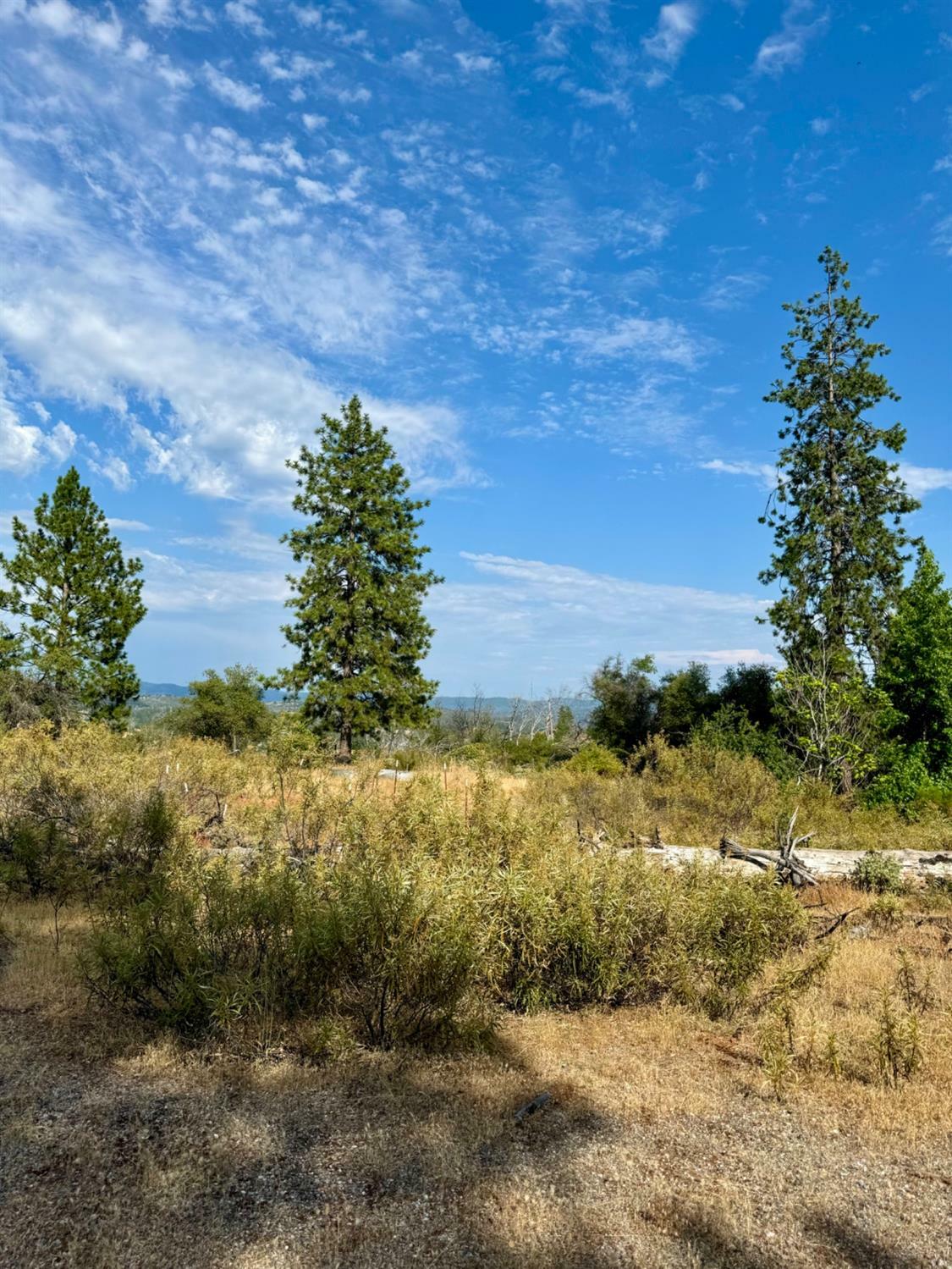 9741 Wendell Road  Mountain Ranch CA 95246 photo