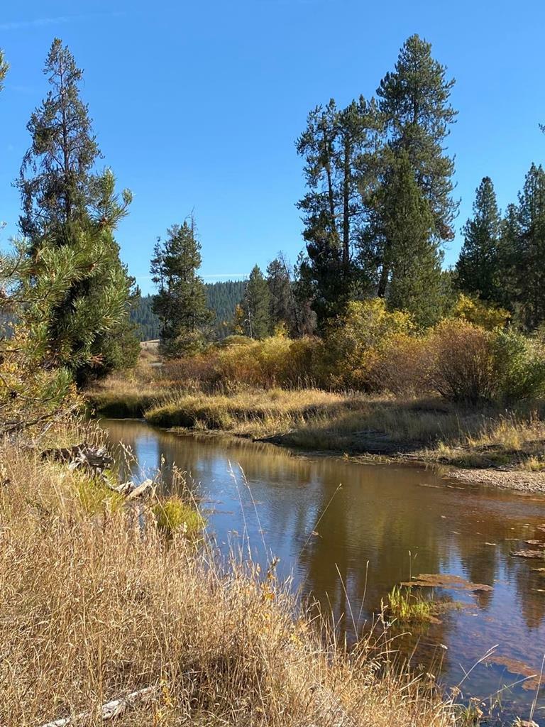 Lot 8 Empty Saddle Way  Donnelly ID 83615 photo