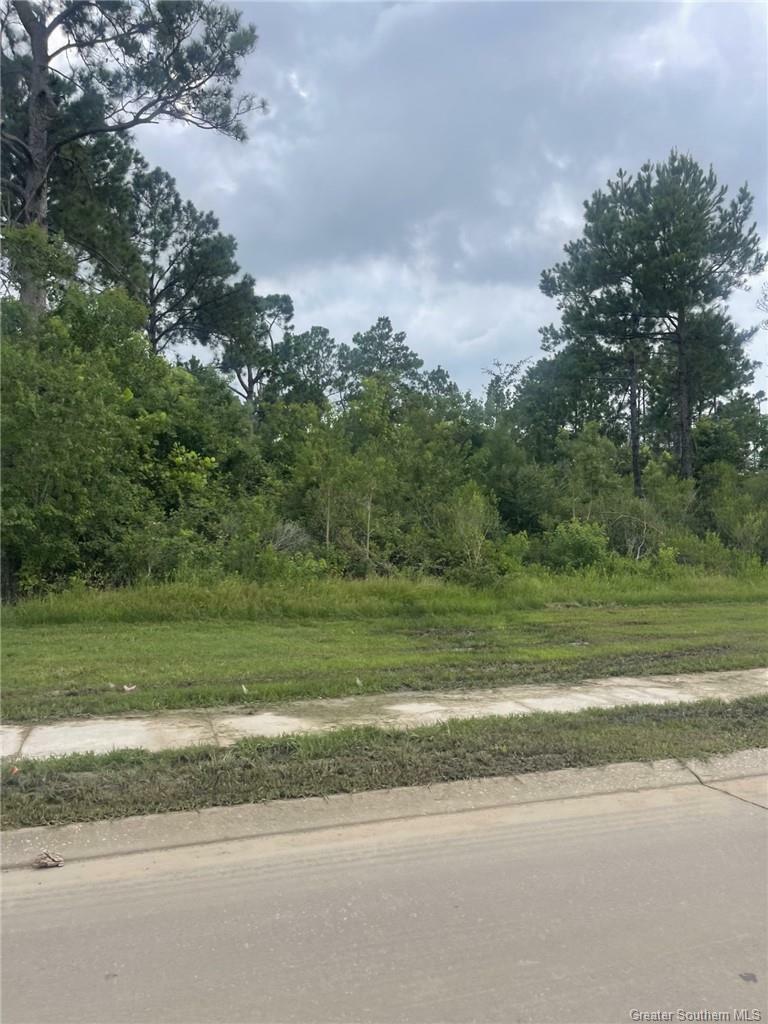 Property Photo: 0 Power Center Parkway LA 70607
