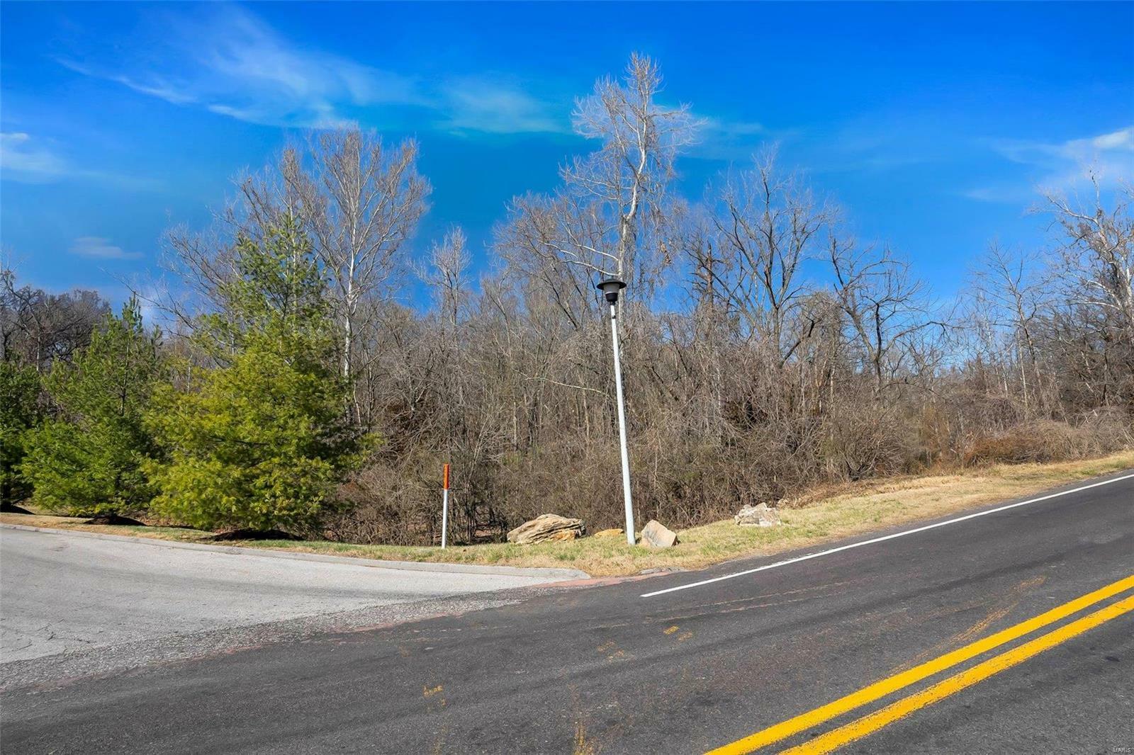 Property Photo:  2009 Marshall Road  MO 63122 