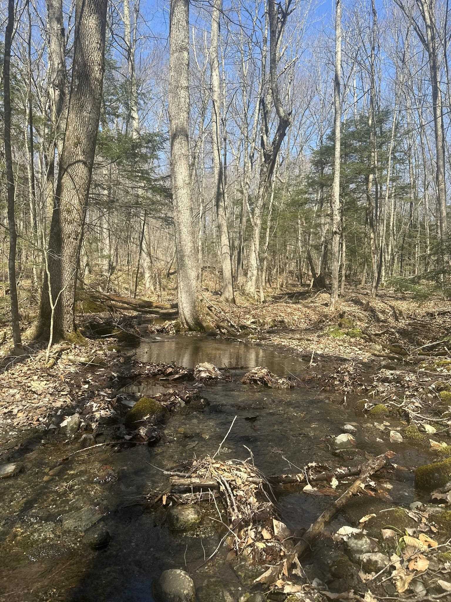 Property Photo: 130 Dimock Lane VT 05477