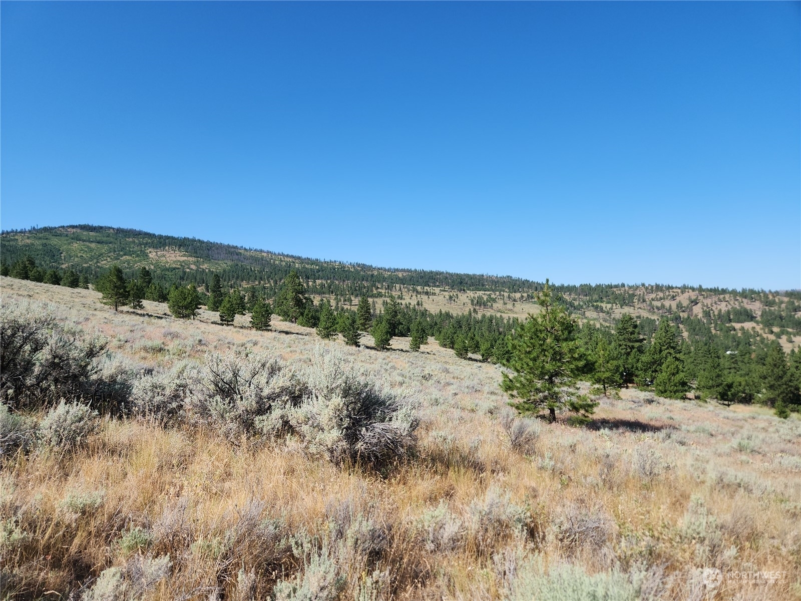 Property Photo:  0 Tbd Reeves Basin Road  WA 98855 