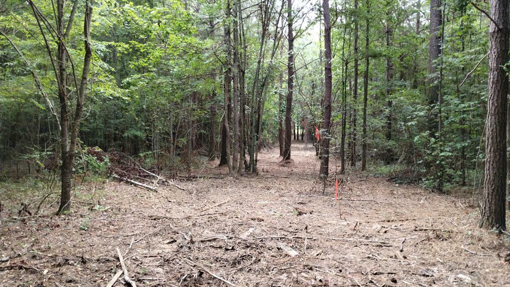 Lot 12 Mount Pleasant Road  Dalton GA 30721 photo