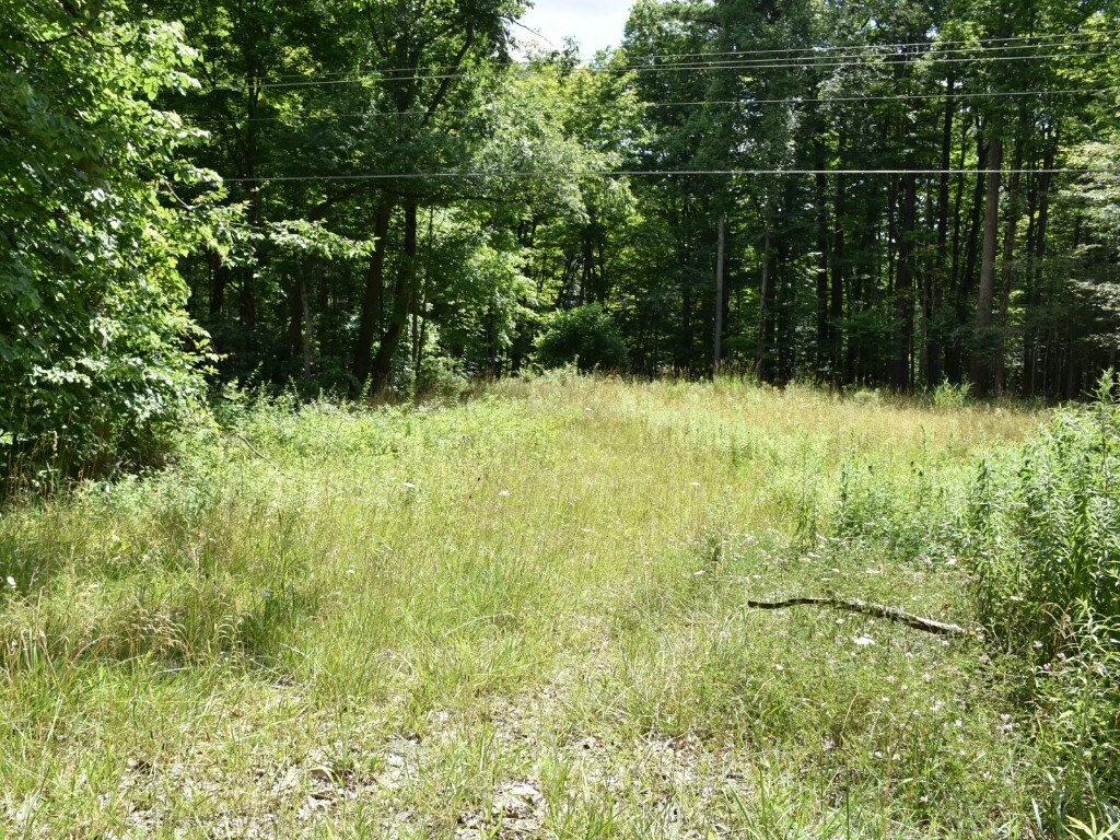 Property Photo:  10312 Perry Highway  PA 16335 