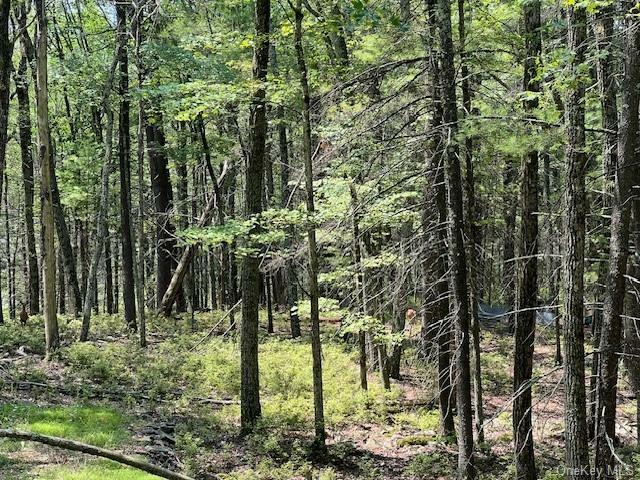 Lot 18 Hunczak Boulevard  Glen Spey NY 12737 photo