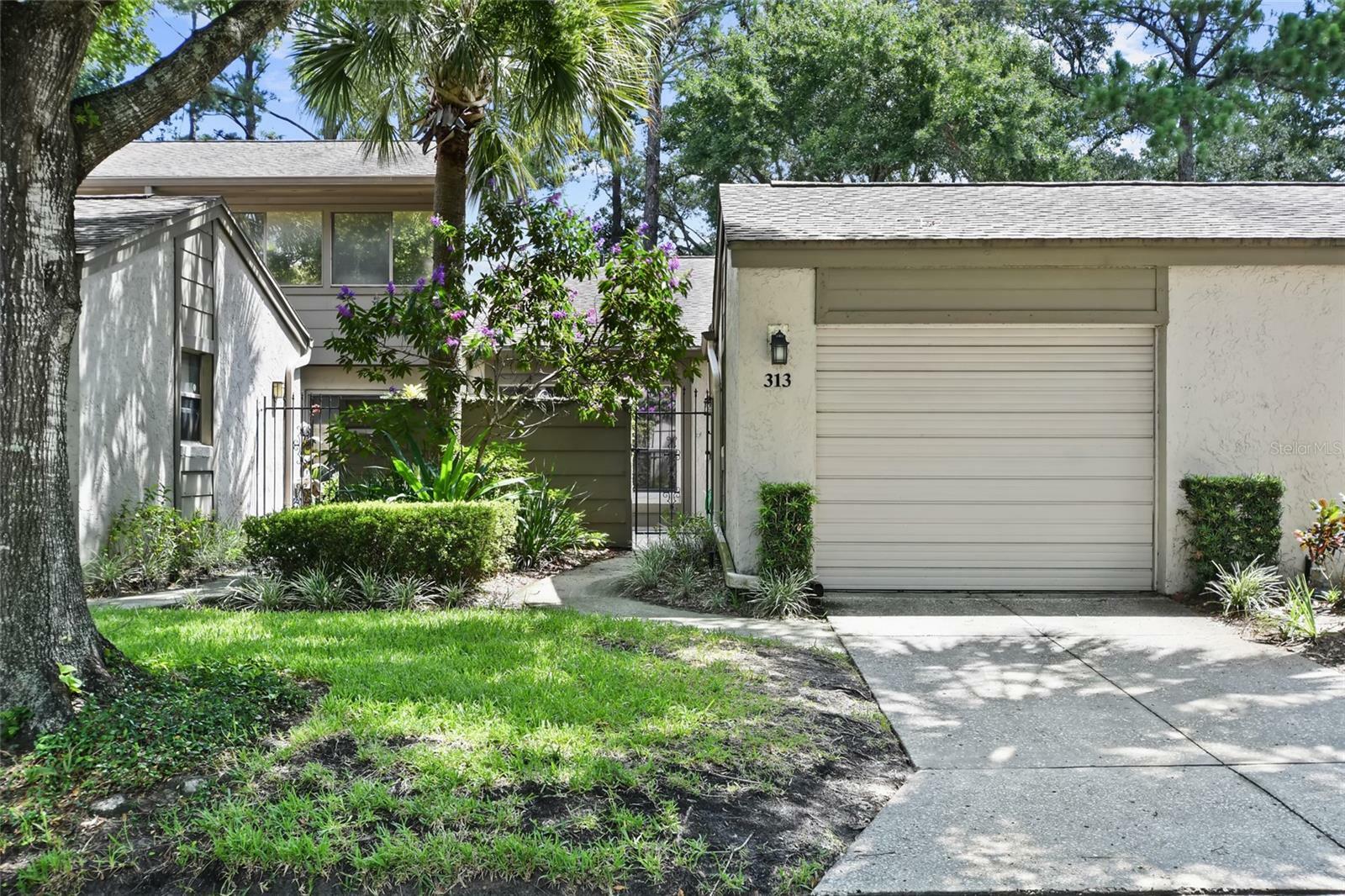 Property Photo: 313 Dryberry Way FL 32730