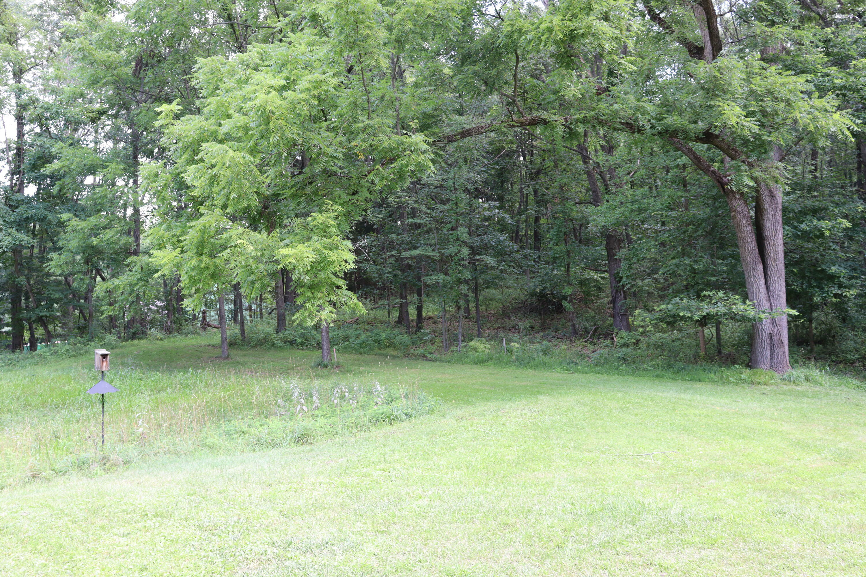 Property Photo:  57519 Lone Tree Road  MI 49093 